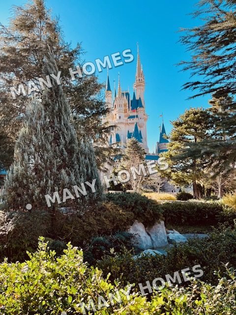 A castle framed by leafy trees.