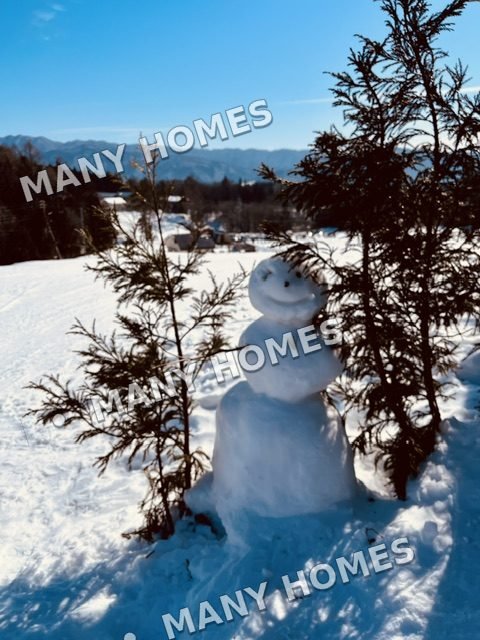 A cheerful snow day with a snowman.