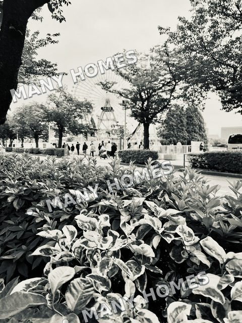 A garden rendered in black and white.