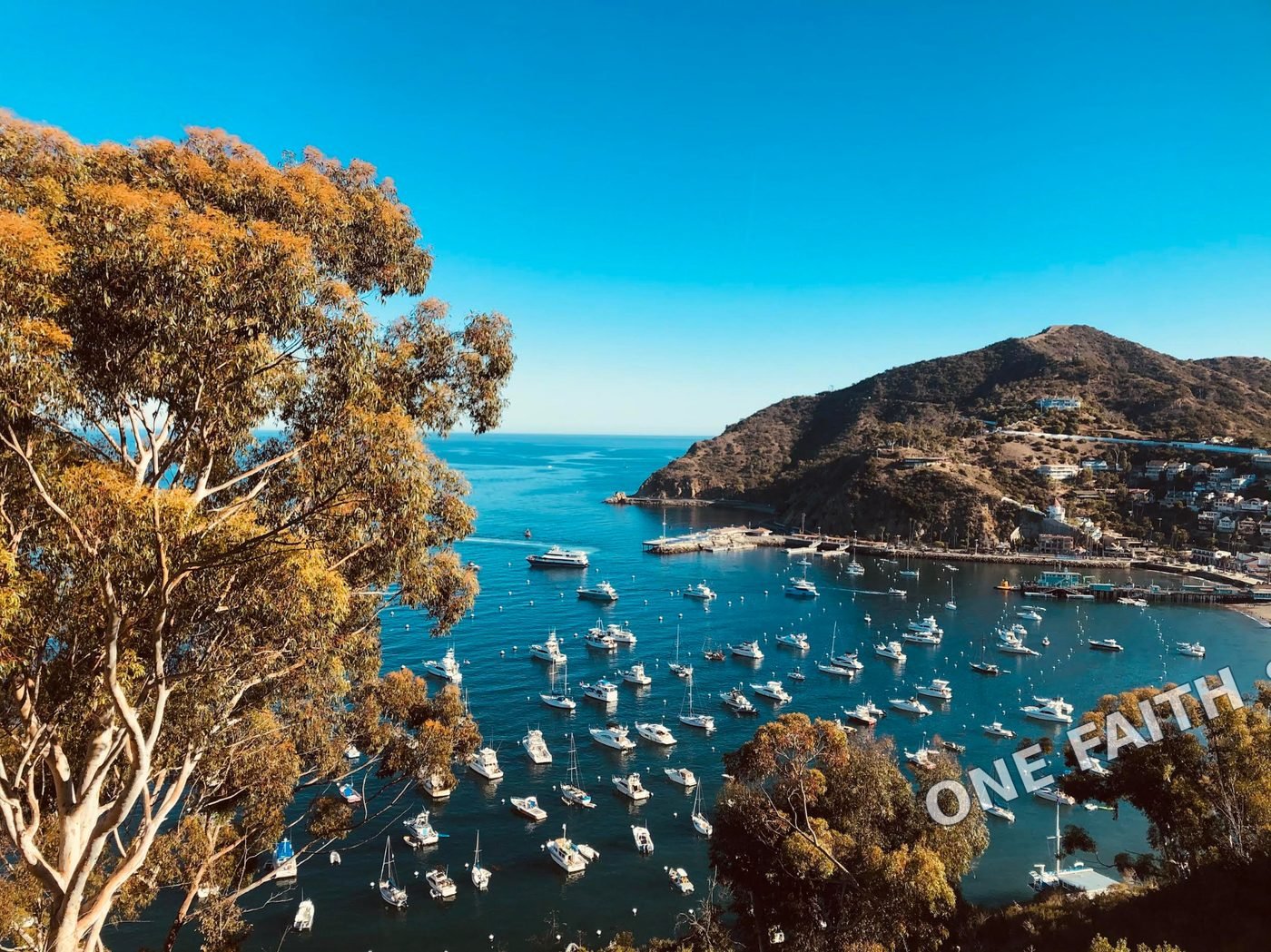 A blue bay framed by trees and hills.