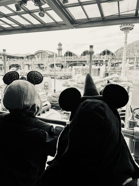 Visitors taking in a theme park view.