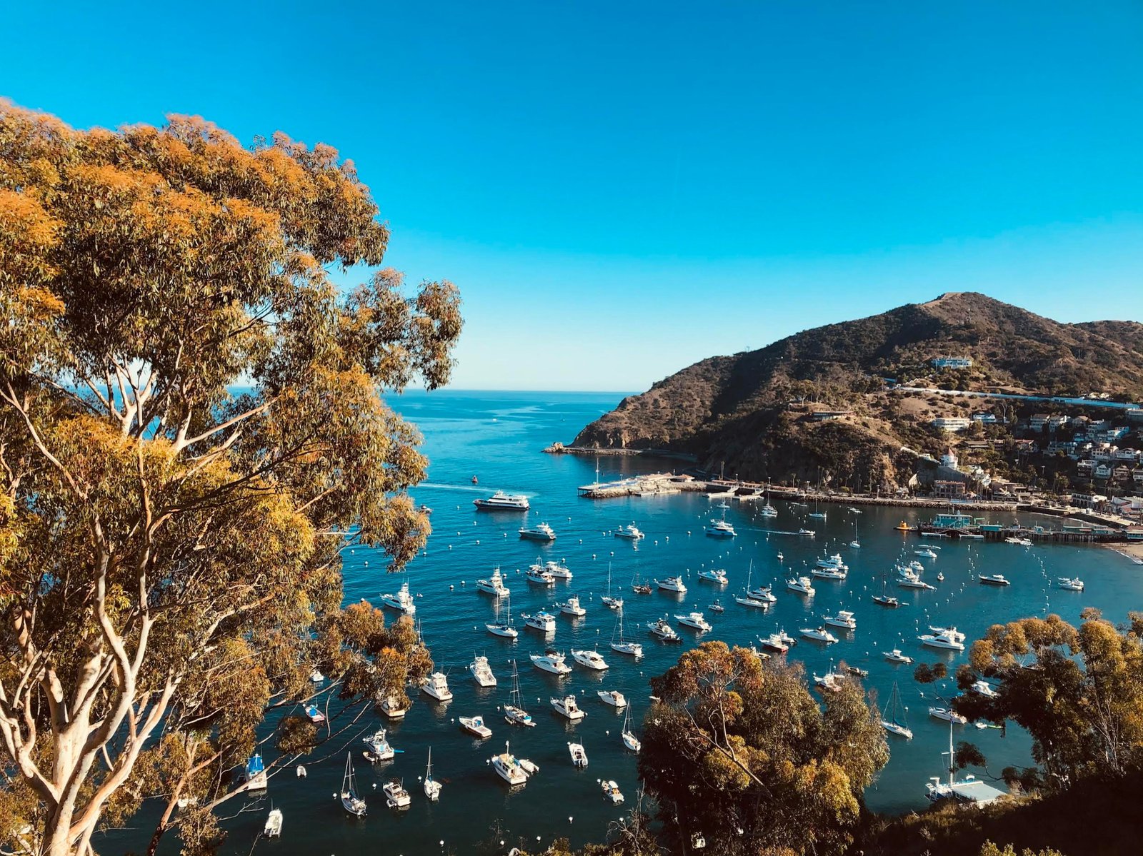 A bright blue harbor dotted with sailboats, framed by hills and trees
